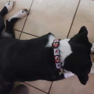Stacy added a photo of their purchase