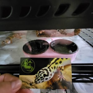 Victoria added a photo of their purchase