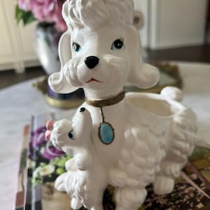 Elena added a photo of their purchase