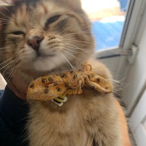 Symmie added a photo of their purchase