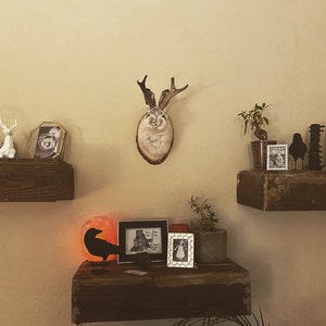 Kayla added a photo of their purchase