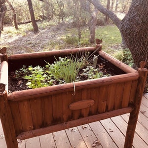 Liesel added a photo of their purchase