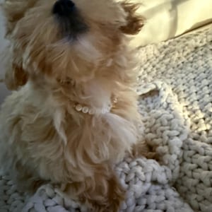 Madeline ha añadido una foto de su compra