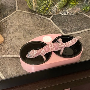 Devon added a photo of their purchase