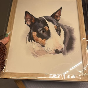Matthew hat ein Foto des gekauften Artikels hinzugefügt