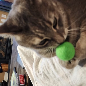 Sarah ha aggiunto una foto del proprio acquisto