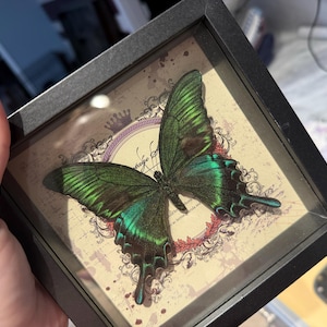 Brittney added a photo of their purchase