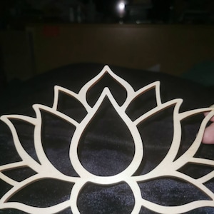 Tracy added a photo of their purchase