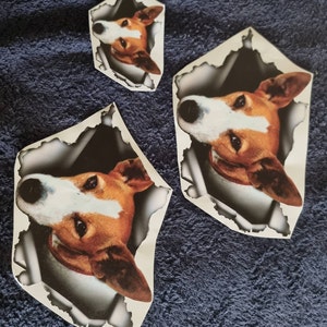 Liz added a photo of their purchase