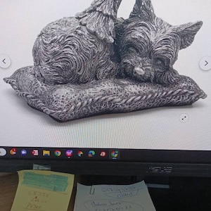 jose added a photo of their purchase