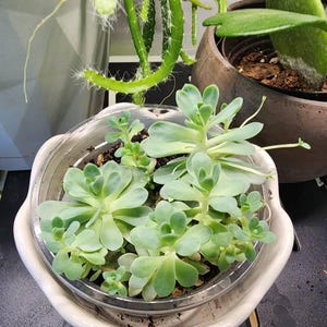 Jenn added a photo of their purchase