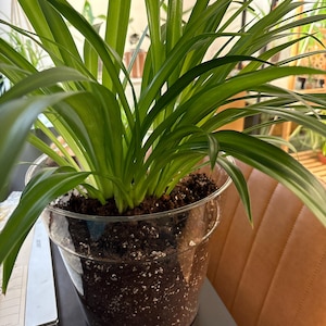 Wilda added a photo of their purchase