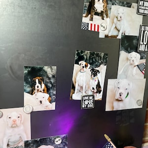 Dana hat ein Foto des gekauften Artikels hinzugefügt