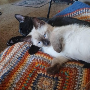 Susan added a photo of their purchase