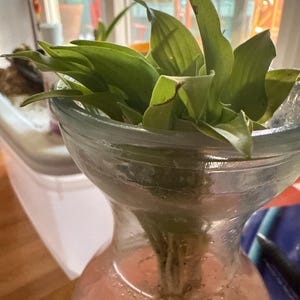 Carlos added a photo of their purchase