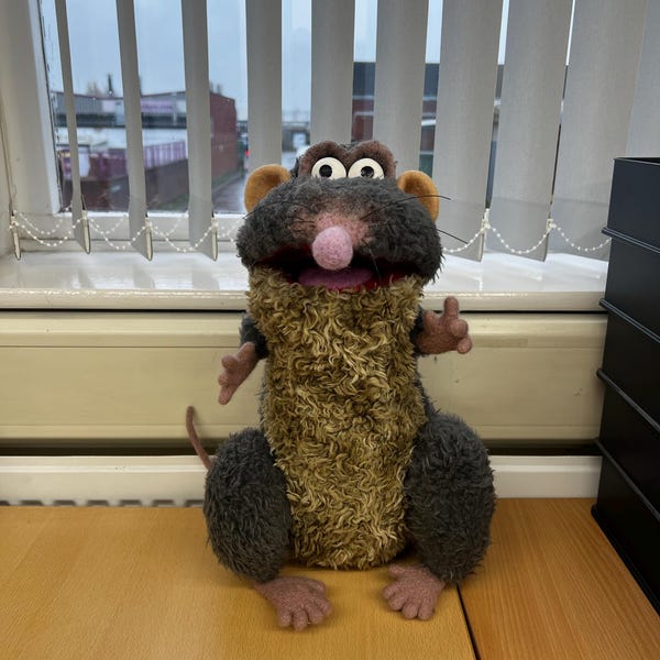 Rattus Rattus Horrible Histories Custom Order - Etsy