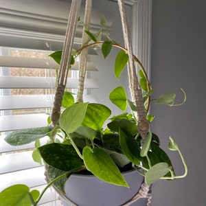 Amanda added a photo of their purchase