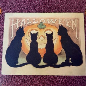 Hali added a photo of their purchase
