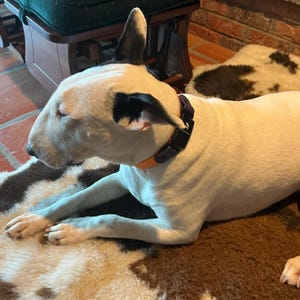 Judy added a photo of their purchase