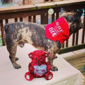 Kimberly added a photo of their purchase