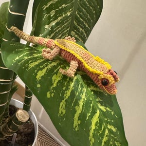 Molly added a photo of their purchase