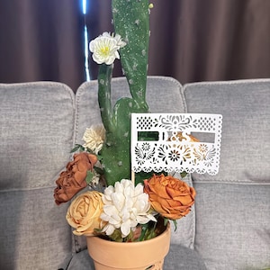 alex added a photo of their purchase