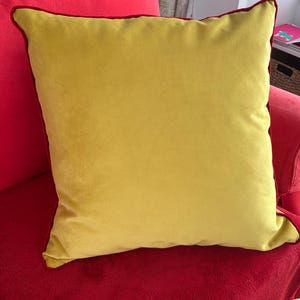 Jo added a photo of their purchase