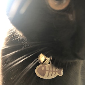 C added a photo of their purchase