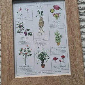 Herbology Chart A4 Print - Etsy
