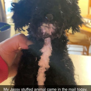 Custom Stuffed Dog Custom Dog Plush Custom Crochet Dog - Etsy