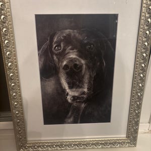 Lauren added a photo of their purchase