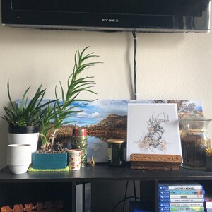 michael heeft een foto van de aankoop toegevoegd