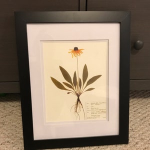 Haley added a photo of their purchase
