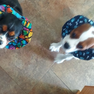 Linda added a photo of their purchase