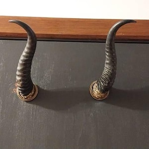 Shane added a photo of their purchase