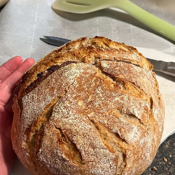 Regalo Per La Festa Della Mamma: Lievito Madre (Sourdough Starter) Di Oltre 1000 Anni Da Un Monastero Italiano