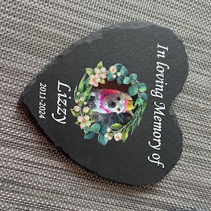 Suzann a ajouté une photo de son achat