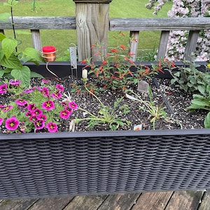 Bobbie added a photo of their purchase