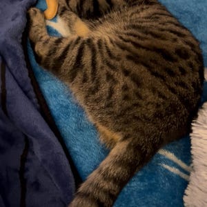 Lesley ha aggiunto una foto del proprio acquisto