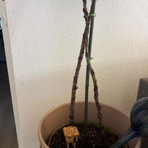 Jona added a photo of their purchase