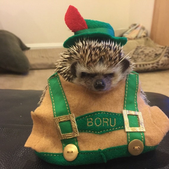 Customer photo of a pet with the Lederhosen German Traditional Personalized
