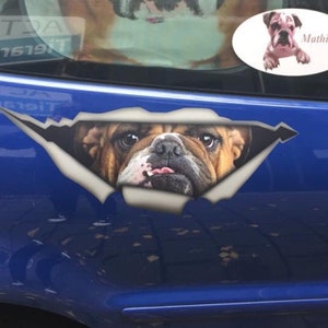 Vonny added a photo of their purchase