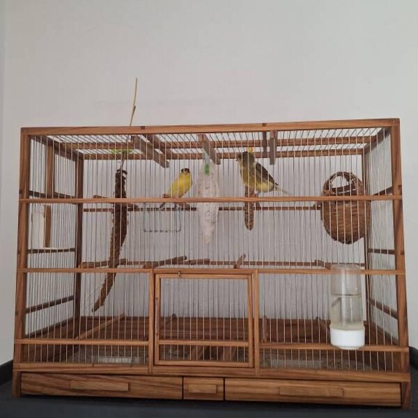 Beautiful view of Handmade Wooden Bird Cage Display