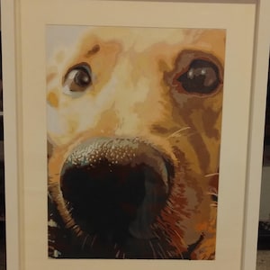 Rachel added a photo of their purchase