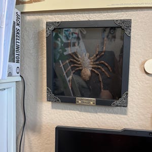Alexis added a photo of their purchase