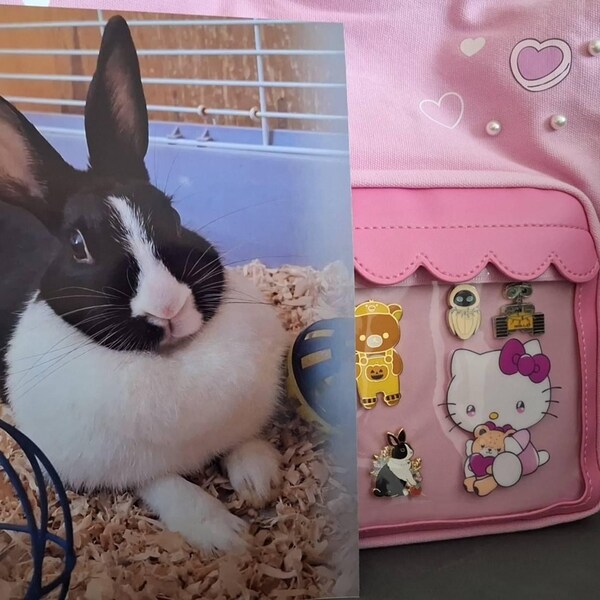 Ice Cream Shop Rabbit Memo Pad, A5 Planner, Rabbit Stationery, Bunny ...