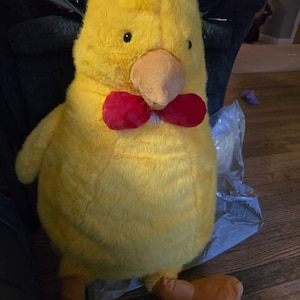 Kaity added a photo of their purchase