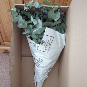 Sheena added a photo of their purchase