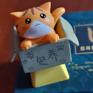 Jay added a photo of their purchase