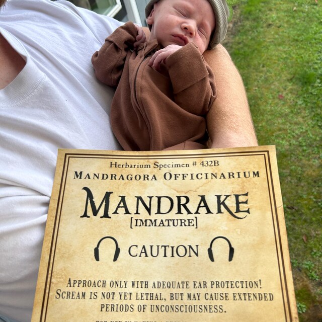 Realistic Mandrake Label, Printable Sticker Prop Potter Herbology